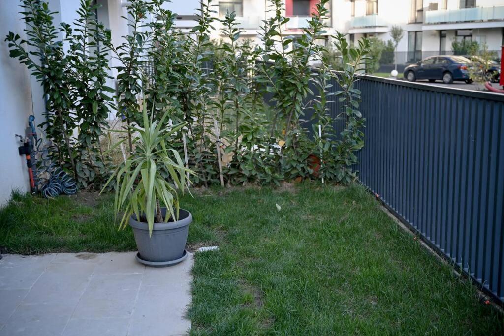 #Minehouse Timisoara Exterior photo